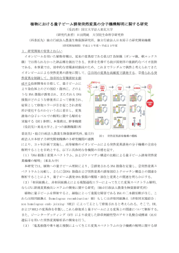 植物における量子ビーム誘発突然変異の分子機構