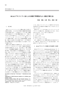 DEAE-デキストラン法による安価で再現性のよい遺伝子導入法