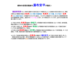 湯布安平パンフレット [PDFファイル／627KB]