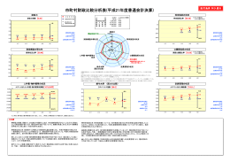 市町村財政比較分析表(平成21年度普通会計決算)