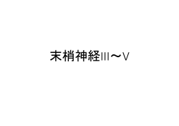 末梢神経IIIHP