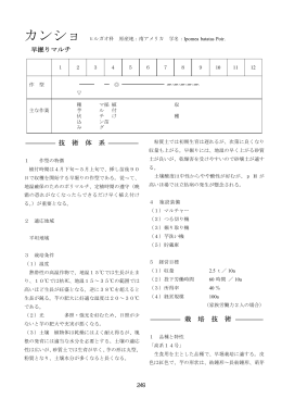 早堀マルチ