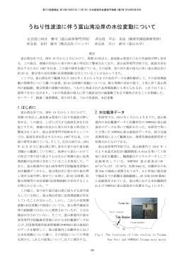 うねり性波浪に伴う富山湾沿岸の水位変動について