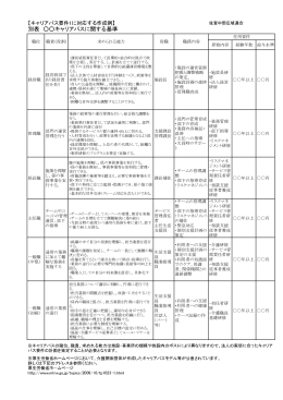 【キャリアパス要件1に対応する作成例】（PDF）
