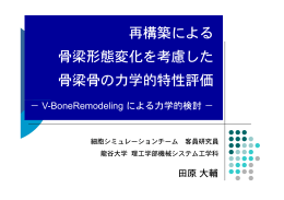 再構築による 骨梁形態変化を考慮した 骨梁骨の力学的特性評価