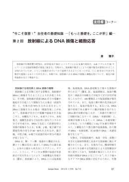 「もっと基礎を，ここが肝」編  第2回 放射線によるDNA損傷と細胞応答