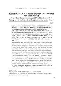 乳癌関連分子BRCA2のDNA損傷修復能の制御メカニズムの解明と