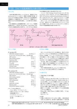 P-30 DNA の塩基損傷部位の数を測定したい