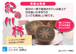 紀の川一帯で栽培されている樹上で 渋を抜いた手作りの とっても