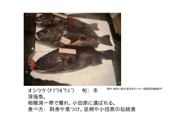 オシツケ（ｱﾌﾞﾗﾎﾞｳｽﾞ） 旬： 冬 深海魚。 相模湾一帯で獲れ、小田原に運ば