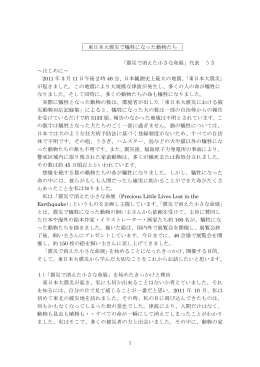 東日本大震災で犠牲になった動物たち 「震災で消えた小さな命展」代表