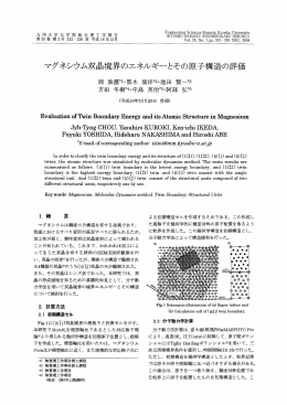 マグネシウム双晶境界のエネルギ}とその原子構造の評価
