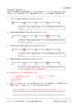 歯科アンケート（例）（PDF形式：19KB）