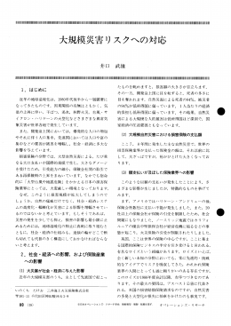 大規模災害リスクへの対応