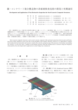 鋼&minus;コンクリート複合構造物の非破壊検査技術の開発と実機適用