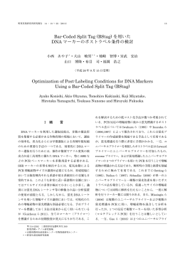 Bar-Coded Split Tag (BStag) を用いた DNA マーカーのポストラベル
