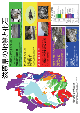滋賀県の地質と化石 [更新済み]