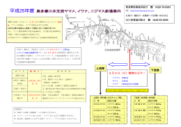 上流部 下流部 3 月 3 日（日）解禁日正午！