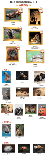 前回の入賞作品はこちら