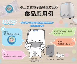 食品応用例 (PDF 1.86MB)