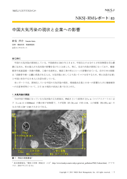 中国大気汚染の現状と企業への影響 - 損保ジャパン日本興亜リスク