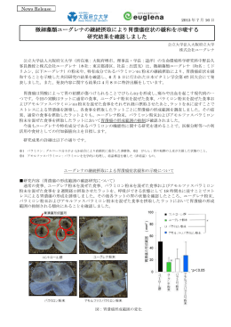 微細藻類ユーグレナの継続摂取により胃潰瘍症状の緩和を示唆する 研究