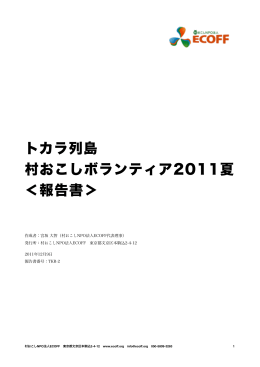 2011年度夏期の報告書（PDF）