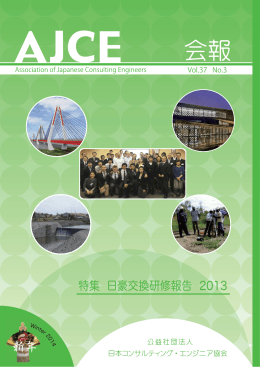 全文（PDF3MB） - (公社)日本コンサルティング・エンジニア協会