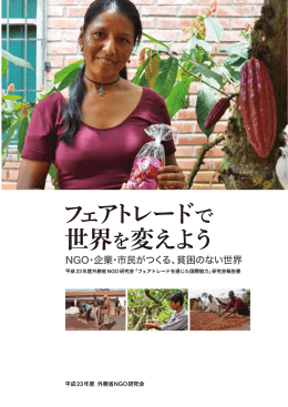 報告書（PDF）