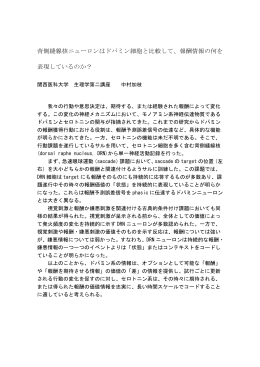 背側縫線核ニューロンはドパミン細胞と比較して