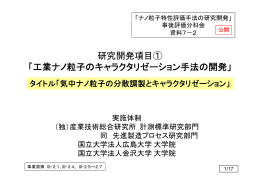 研究開発項目① 「工業ナノ粒子のキャラクタリゼーション手法の開発」 業