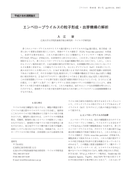 エンベロープウイルスの粒子形成・出芽機構の解析