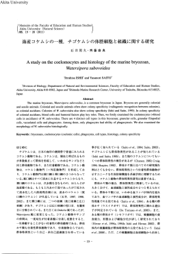 (騨撚脇豊鵬&hellip;H&hellip;Ⅷ鶴）