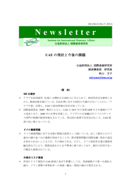 UAEの現状と今後の課題