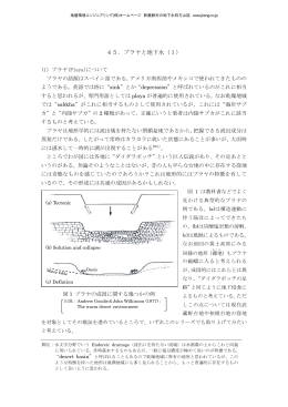 45．プラヤと地下水（1） - 地盤環境エンジニアリング株式会社