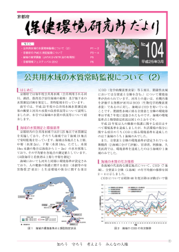 公共用水域の水質常時監視について（2）