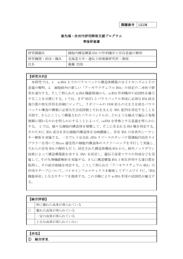 細胞内構造構築RNAの作用機序と存在意義の解明（PDF形式：192KB）