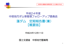蓮ダム 定期報告書（案） 【概要版】