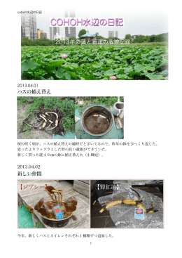 【ジプシー】 【蜀紅蓮】 2013年の蓮と睡蓮の栽培記録