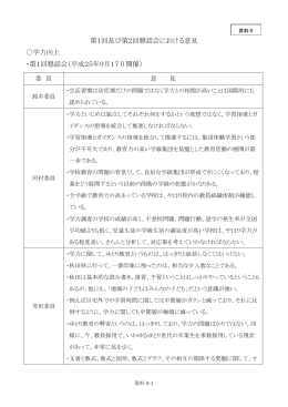 第2回懇話会における意見