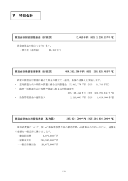 Ⅴ 特別会計