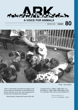 A VOICE FOR ANIMALS - Animal Refuge Kansai