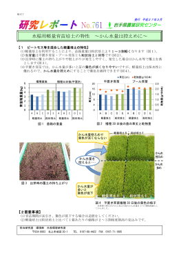 水稲用軽量育苗培土の特性 ～かん水量は控えめに～