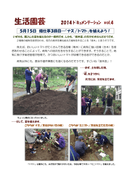 5月15日 畑仕事3回目…「ナス」「トマト」を植えよう！