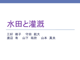 三好 桃子 守田 航大 渡辺 有 山下 祐欣 山本 真央