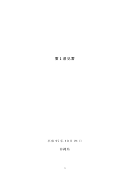 第1意見書（PDF：318KB）