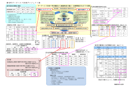 データヘルス計画＝特定健診から健康格差の縮小・医療費適正化までの
