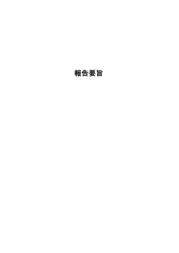 報告要旨（PDF）