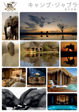 キャンプ・ジャブラニ - Camp Jabulani