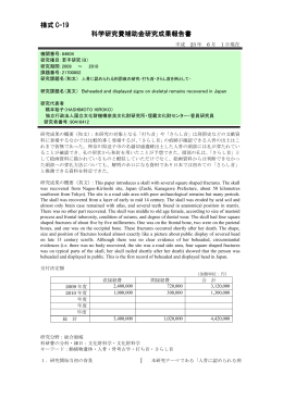 様式 C-19 科学研究費補助金研究成果報告書 科学